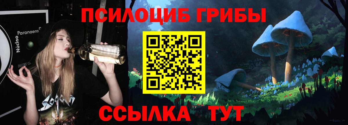 Камышин  Галлюциногенные грибы Magic Shrooms  Вход с VPN 